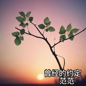 带着一身的孤独继续走