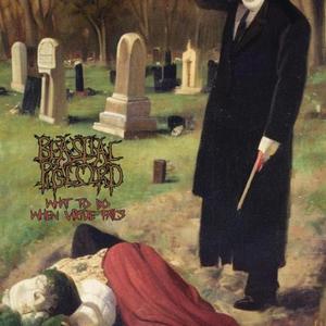 Creatures Of The 4th Dimension