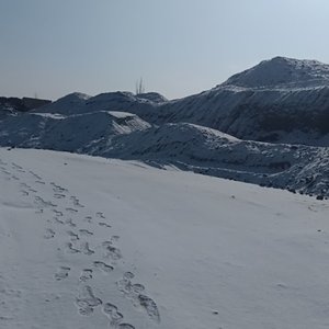 #百万奖金AI创作大赛+主题二