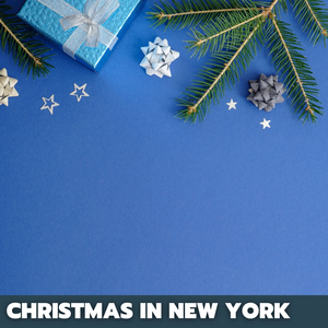 Company for the Daily