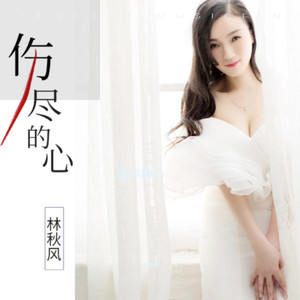 伤尽的心DJheap九天版伴奏 (伴奏)