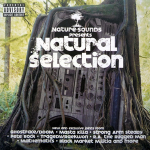 Street Corners (MF Doom Remix)