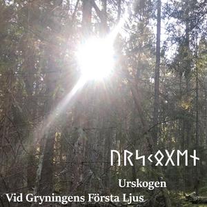 Vid Gryningens Första Ljus