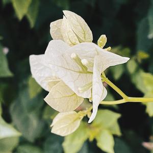 浪漫r&b 暧昧剧情配乐