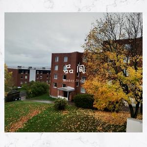 沉睡的往昔(吉他版)