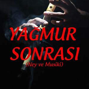 Yağmur Sonrası