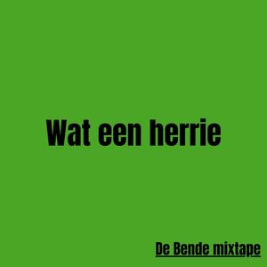 Nonsens (feat. Vanni)