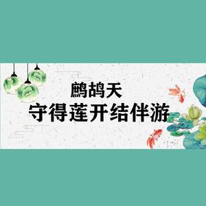 鹧鸪天-守得莲开结伴游