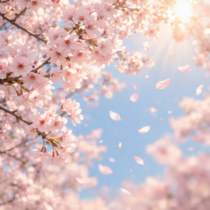 벚꽃이 부는 날