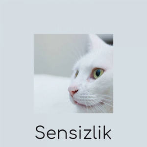 FullStomp NoDrumsNoBass