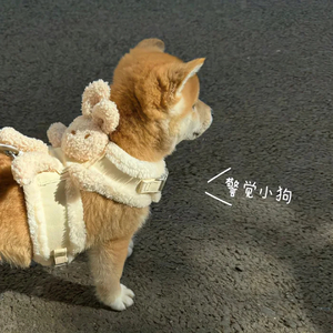 晚安的话只对你说