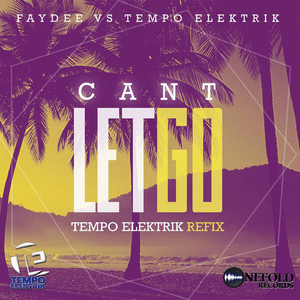 Can't Let Go (Faydee Vs Tempo Elektrik) (Radio Edit)
