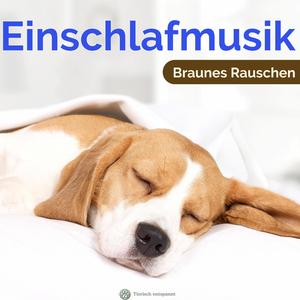 Da fallen die Augen zu | Schlafmusik für Hunde mit Brown Noise