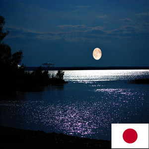 夜の湖の音