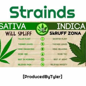 Strainds (feat. Will Spliff)