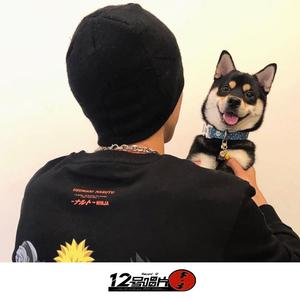 Она моё всё