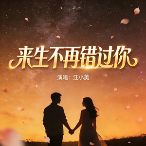 来生不再错过你