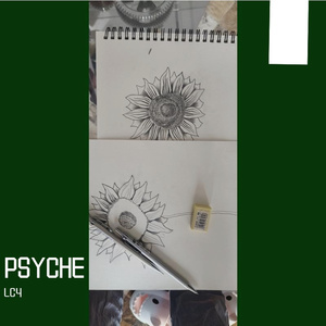 psyche张洁