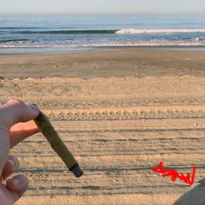 Return of the Savage