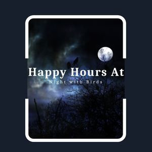 Kitten Sitting By The Fire