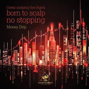 스켈핑부터 존버까지