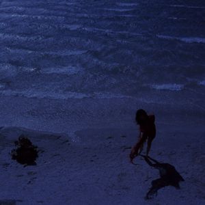 浓缩蓝鲸