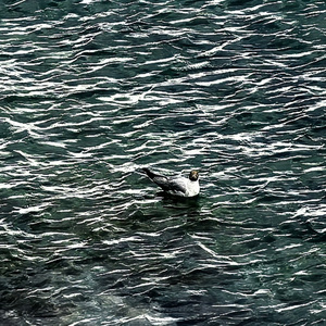 献给我生命中最伟大的人