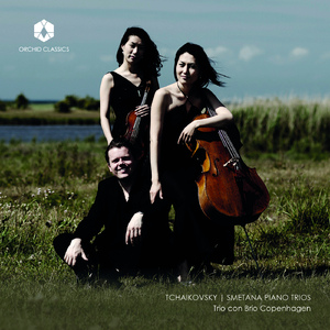 Piano Trio in A Minor, Op. 50:II A. Tema con variazioni: Tema: Andante con moto