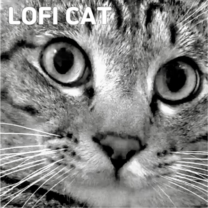 긴장 풀어주는 로파이 캣 (LOFI CAT)