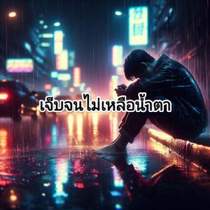 เจ็บจนไม่เหลือน้ำตา