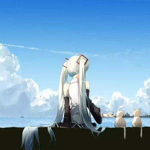 花瓣铺满心里坟场才害怕