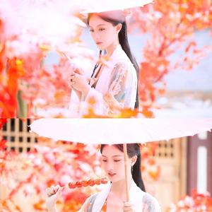 鲛人之殇(电影《人鱼江湖》古风主题曲)（翻自 韩丹）