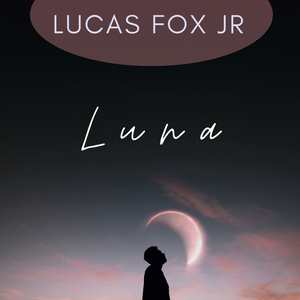 Le Navi Dei Vichinghi