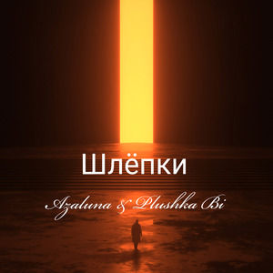 Шлёпки