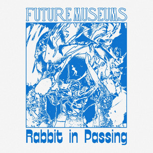 Rabbit in Passing