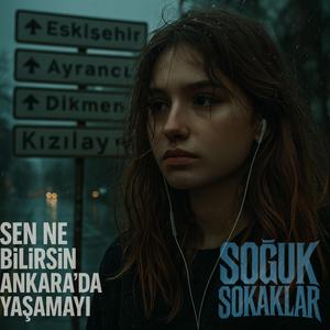 Sen ne bilirsin Ankara'da yaşamayı