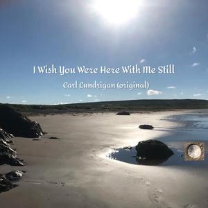 I Wish You Were Here With Me Still