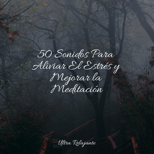 Noche Tranquila En Soledad