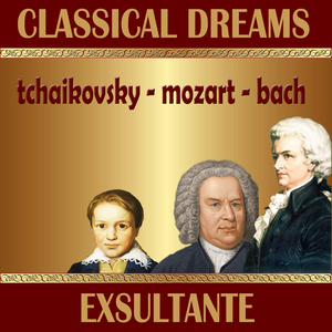 Brandenburg Concerto No. 3 in G Major, BWV 1048: I. Allegro Moderato