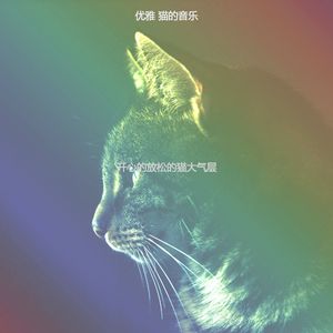 抚慰的可爱的猫回忆