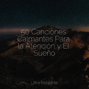 Atardecer Del Desierto
