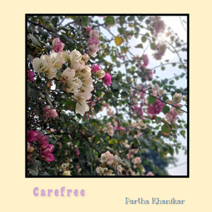 Carefree