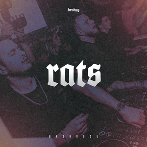 Rats
