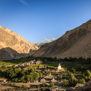 起风了（抖音热搜版）