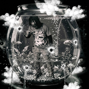 Goldfish
