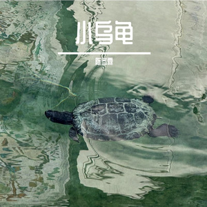 小乌龟