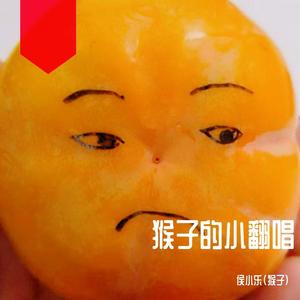 青春无处安放（翻自 赵雷）