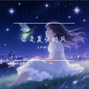 你是夏夜的风