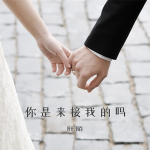 你是来接我的吗