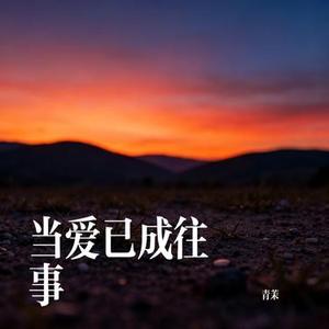 当爱已成往事 (Cover 洋澜一)